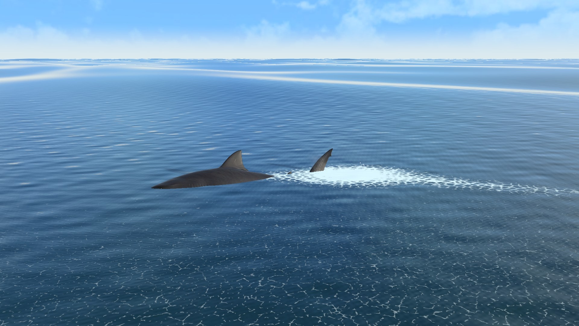 Shark hazard during a Voyager run